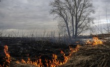Площадь лесных пожаров в Забайкалье за сутки увеличилась на 10 тыс. гектаров