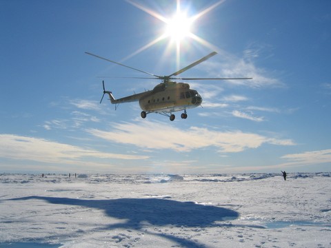 Арктика без границ: Международные эксперты представляют проекты освоения новой территории