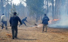 Лесные пожары в России. Хроника событий