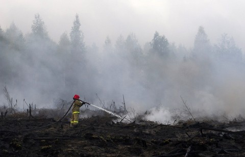 Рослесхоз: Необходимо увеличить финансирование тушения природных пожаров