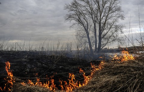 Площадь лесных пожаров в Забайкалье за сутки увеличилась на 10 тыс. гектаров